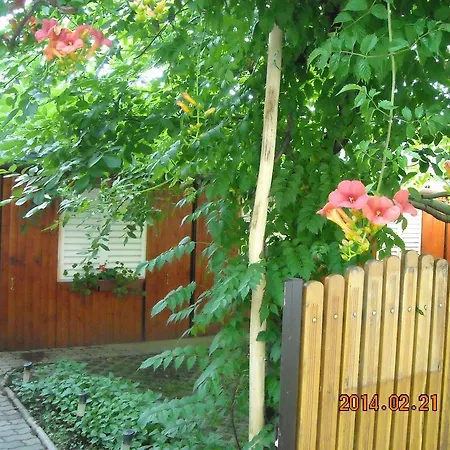 Demeter Holiday home *